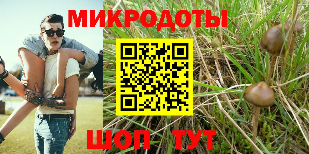 Верхняя Салда  Галлюциногенные грибы Cubensis  Вход с VPN 